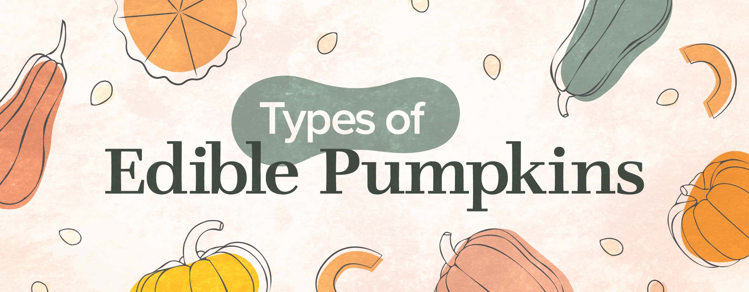 Types of Edible Pumpkins