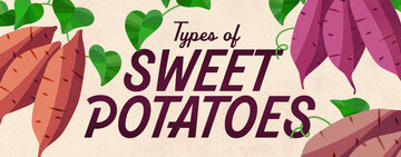 Different Types of Sweet Potatoes 