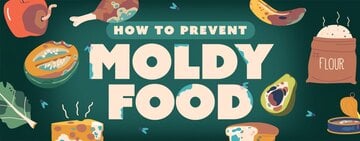 How to Prevent Mold on Food 