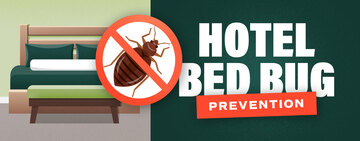 How Hotels Can Help Prevent Bed Bugs