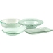 10 Strawberry Street Tahoe Glass Dinnerware