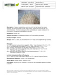 Jasmine Rice Nutrition (1)
