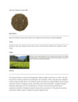 110DTLJASMJN TEA LOOSE MAO JIAN JASMINE 1 LB. DAVIDSON'S.pdf