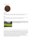 110DTLJASRSE TEA LOOSE JASMINE ROSE 1 LB. DAVIDSON'S.pdf