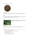 110DTLLEMON TEA LOOSE LEMON ESSENCE WITH PEEL 1 LB. DAVIDSON'S.pdf