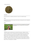 110DTLSENCHA TEA LOOSE SENCHA 1 LB. DAVIDSON'S.pdf 110DTLSENCHA TEA LOOSE SENCHA 1 LB. DAVIDSON'S.pdf