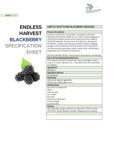 115EHBLKBRDR_Blackberry Spec Sheet.pdf