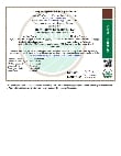 Holy Kakow Organic Certificate