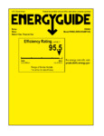 Rinnai energy guide