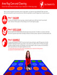 area_rug_care_and_cleaning area_rug_care_and_cleaning