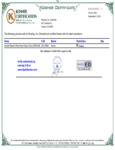 ART65-Kosher Certificate 083124