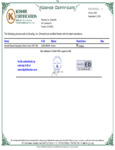 ART7-NS-Kosher Certificate 083124