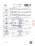 267-3206 Test Report