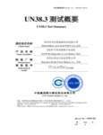 Battery Test Summary - 358909996 Battery Test Summary - 358909996