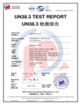 BLEM Series Test Summary BLEM Series Test Summary