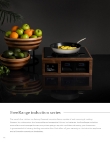BonChef_catalog_FreeRangeInduction