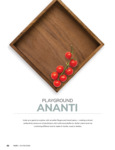 ananti_brochure ananti_brochure