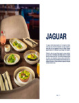 Ariane Fine Porcelain Jaguar Brochure