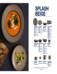 Ariane Fine Porcelain Splash Beige Brochure