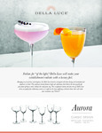 Aurora sellsheet