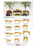 brooklynrisers_brochure brooklynrisers_brochure