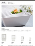 Delfin Quadro Brochure