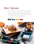 Elite Stoneware by International Tableware Elite Stoneware by International Tableware