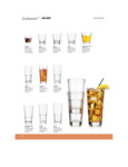 endeavor brochure