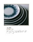 F106 Brochure