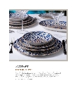 F107 Brochure