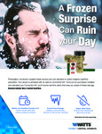 Flyer - Freeze Detection Flyer - Freeze Detection