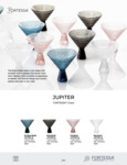 Fortessa Jupiter Martini Glass Brochure