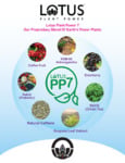 Lotus Plant Power PP7 Brochure