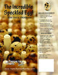 Manchester Farms Quail Egg Flyer