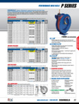 P Series BRochure P Series BRochure