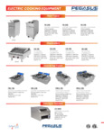 PEGASUS_fryers_brochure