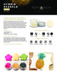 Roxy & Rich Sparkle Dust Brochure