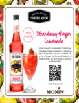 Strawberry Ginger Lemonade Sell Sheet