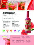 Torani Puremade Watermelon Flavoring Syrup Brochure
