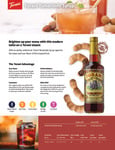 Torani Tamarindo Syrup Brochure