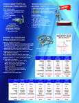 Wesco Stainless Steel Rotary Pump Brochure