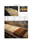 ZLS-10S brochure ZLS-10S brochure