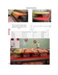 ZLS-BL10 brochure ZLS-BL10 brochure