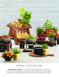 cal-mil Sydney Collection 24 cal-mil Sydney Collection 24