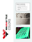 Wausau Concrete Colors