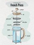 French Press Anatomy 