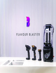 flavour blaster brochure