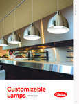 Hatco Customizable Options Guide Hatco Customizable Options Guide