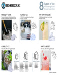 Ice Types Ice Types