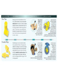 How to Clean Earplugs How to Clean Earplugs